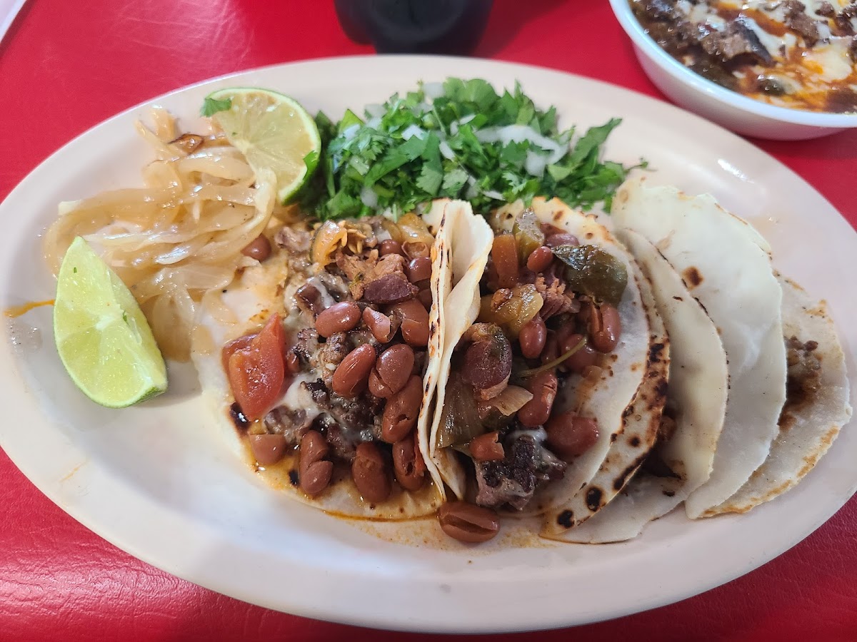 El Gym Taqueria & Snacks - 2