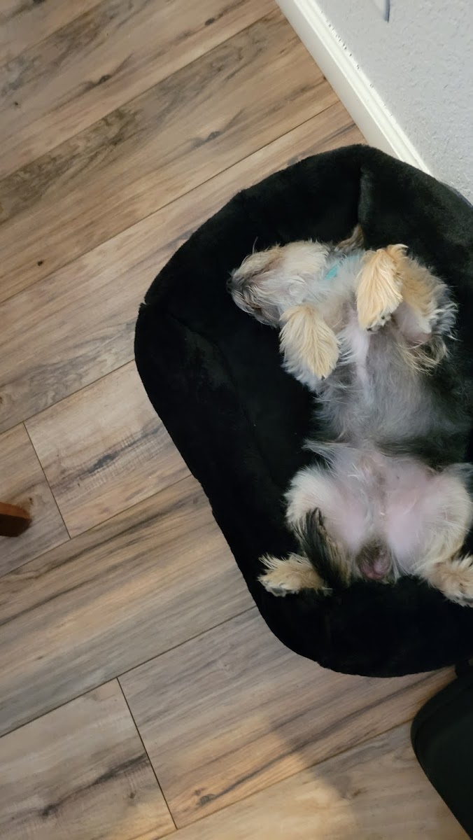 Pollos Asados De Sinaloa - 4